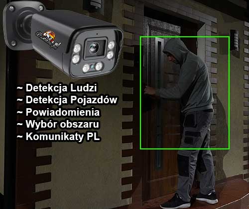 kamera z wykrywaniem ruchu
