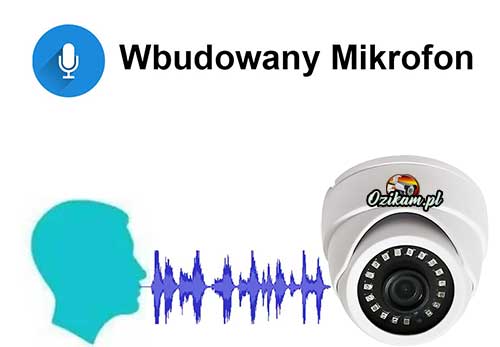 Kamera z mikrofonem