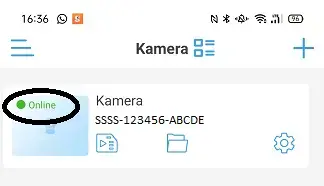 Kamera ip online