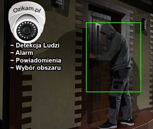 kamera z trybem nocnym detekcja intruzów